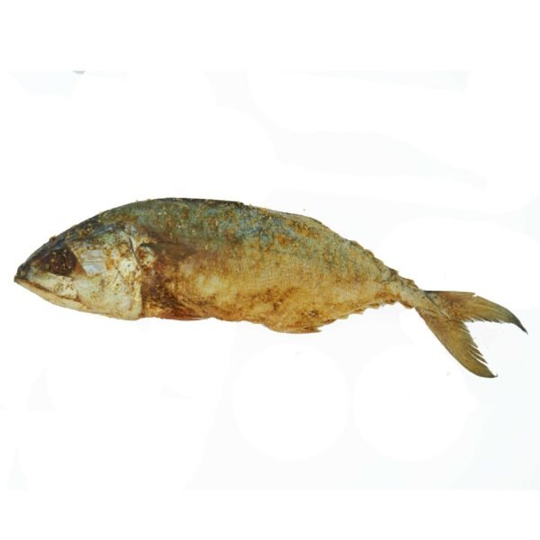 Hotkar Bangra Dry Fish